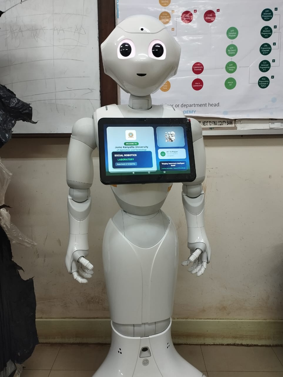 CodeBuddy Pepper Robot App Preview